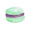 Watercolor mint macaroon isolated on white background. Hand drawn illustration on paper
