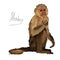Watercolor monkey on white background