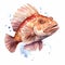 Watercolor Monkfish Clipart: Detailed Character Illustration In Light Red And Amber