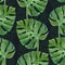 Watercolor monstera leaf seamless pattern