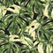 Watercolor Monstera Variegated botanical seamless pattern, tropical summer green leaves
