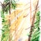 Watercolor morning yellow sunlight wood forest landscape