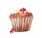 Watercolor muffin with red berry. Cute cupcake izolated on white background.