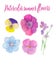 Watercolor multicolor wild flowers, pansies set