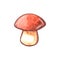 Watercolor mushroom. Color clip art isolated on white. Illustration for seasonal design, autumn cards and the theme of