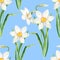 Watercolor narcissus flower seamless pattern. Hand drawn daffodil bouquet illustration isolated on blue background