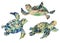 Watercolor natural vintage set of sea turtle