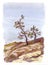 Watercolor Nordic sketch - pine trees in stones near ocean