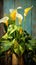 Watercolor Oil Painting of Still Life Peace Lilies Plant Canvas Background