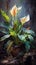 Watercolor Oil Painting of Still Life Peace Lilies Plant Canvas Background