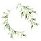 Watercolor olive leaves wreath. Hand painted floral circle border with olive tree branches with leaves isolated on white