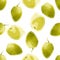 Watercolor olives pattern