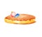 Watercolor one isolated single one pancake, sponge pie, biscuit, cheesecake with strawberries and two blueberries upstairs on a