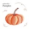 Watercolor orange autumn pumpkin and curl twigs