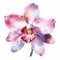 Watercolor Orchid Flower Clipart In Light Maroon And Indigo