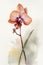 Watercolor Orchid Painting: A Simple and Minimalistic Style .