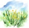 Watercolor Organic Eco Friendly Green Grass And Yellow Flowers Field With Blue Sky. Vector Background