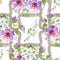 Watercolor ornamet of pink flower. Floral botanical flower. Seamless background pattern.