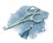 Watercolor ornate vintage silver scissors with tassel