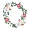 Watercolor oval christmas frame with fir branches roses pine cones leaves plant