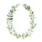 Watercolor oval wreath with greenery leaves branch twig plant herb flora isolated