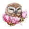 Watercolor owl in pink magnolia flowers illustration. Hand drawn wild bird, surrounded by spring blossoms on the tree.