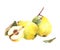 Watercolor painted arrangement Yellow quince whole, cut fruits, leaves Isolated clipart illustration
