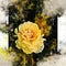 Watercolor painted beautiful stylized yellow rose