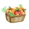 Watercolor painted collection of vegetables in wicker basket. Hand drawn fresh food design elements isolated on white