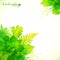 Watercolor painted green summer leaves background