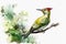 Watercolor painted green woodpecker on a white background