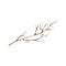 Watercolor painted and inked drawing wood twig, imitation, isolated on white, forest tree, natural tree branch, stick