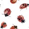 Watercolor painted ladybugs.