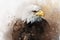 Watercolor painting of an american bald eagle. Symbol predator, bird illustration