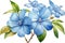 Watercolor painting of Cape Plumbago flower. Ai-Generated