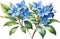 Watercolor painting of Cape Plumbago flower. Ai-Generated