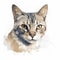 a watercolor painting of a cat\\\'s face with yellow eyes and whiskers on it\\\'s head, looking straight ahead