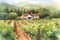 Watercolor painting of a country house in a vineyard. Rural landscape.