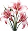 Watercolor painting of Crinum (vlei) lily (Crinum delagoense) flower. AI-Generated.