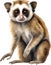 Watercolor painting of a cute Slow Loris (Nycticebus). AI-Generated.