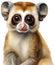 Watercolor painting of a cute Slow Loris (Nycticebus). AI-Generated.