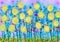 Watercolor painting of a field of dandelions, flower illustration, handpainted floral image