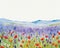 a watercolor painting of a field of wildflowers