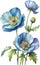 Watercolor painting of Himalayan Poppy flower. Illustration of flowers. AI-Generated.