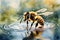 watercolor painting of a honeybee delicately perched on the surface