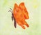 Watercolor painting illustration of a fascinating flying butterfly with orange colored wings