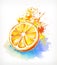 Watercolor painting juicy orange