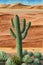 watercolor painting landscape image of vast desert with sparse vegetation of lone cactus.