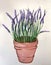 Watercolor painting lavender in a pot on a white background