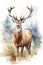 Watercolor painting of a majestic deer